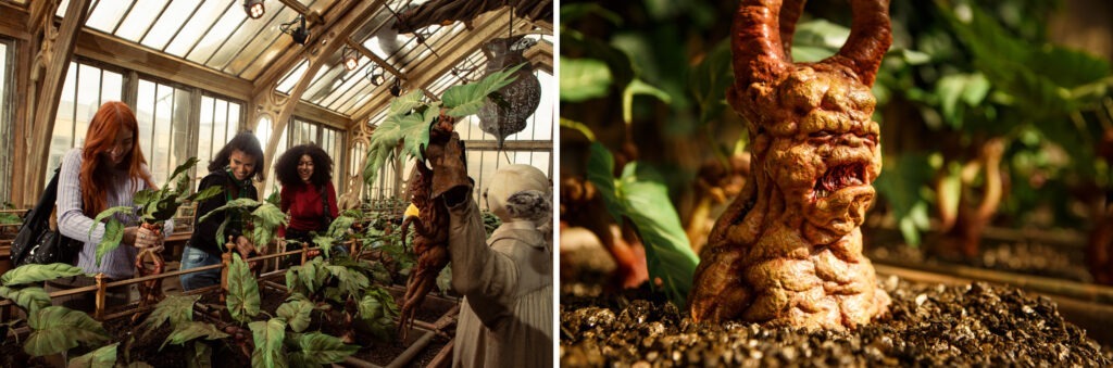 The Professor Sprout's greenhouse set and a Mandrake at Warner Bros. Studio Tour London.